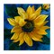 Stupell Industries Sunflower Curling Petals Canvas Wall Art Design by Nan
